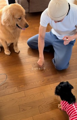 はなまるくんを呼ぶパパ