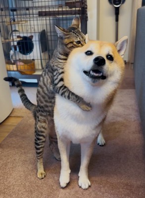 仲良し