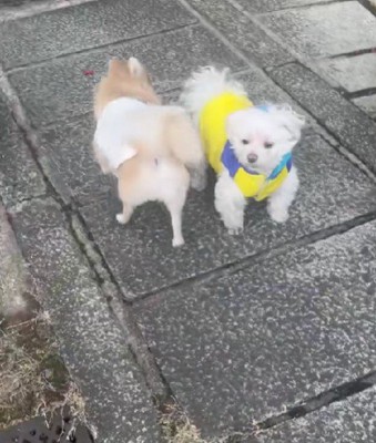 微笑ましいオフシーンでした