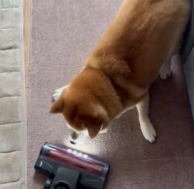 掃除機