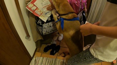 飛びついて熱烈歓迎♡