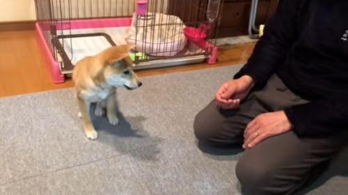 お父さんに近づくみなみちゃん