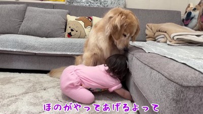 おからちゃんのために頑張ります