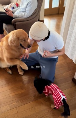 お手のスタンバイする海丸くん