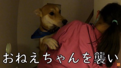 お姉ちゃんに甘えて…