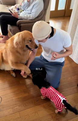 ヤキモチ焼の海丸くん