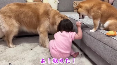 ほのちゃんがキャッチ！！