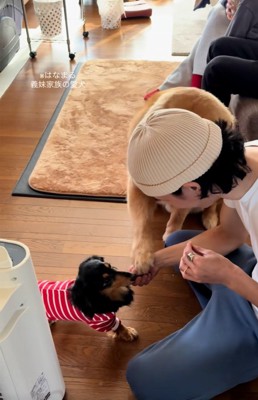 手を出す海丸くん