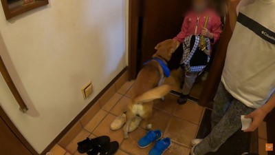 急に元気に！