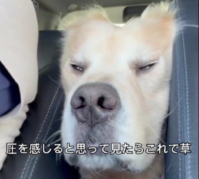 白目をむいてリラックス
