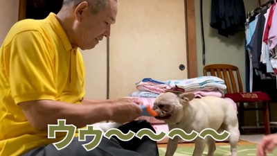 オムツで遊び始める2人