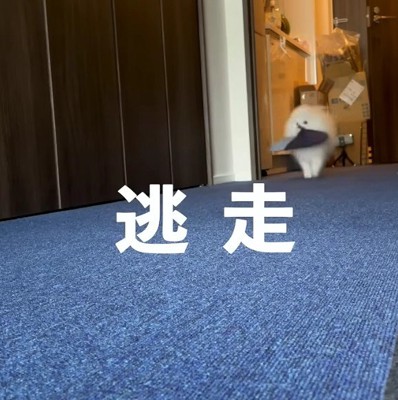 スリッパで遊びたかった♪