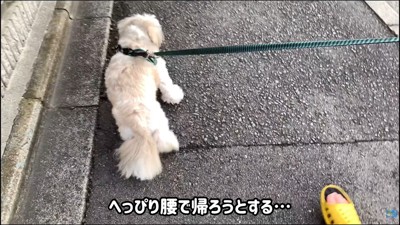 へっぴり腰で逃げています