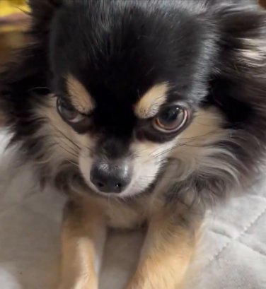 子ども