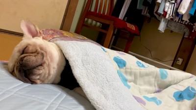 満足そうな寝顔♡