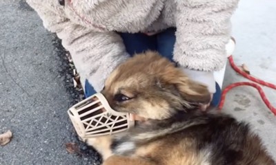 はじめは怯えていました