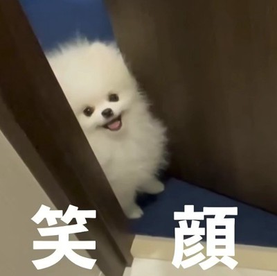 扉が開くと満面の笑み♡