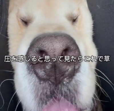 脱力しすぎた翔さんでした♡