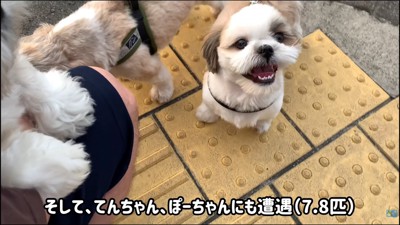 さらに2匹きました