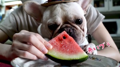 スイカもいただきました♪