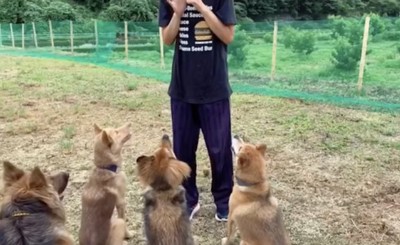 トレーニングも頑張るよ！