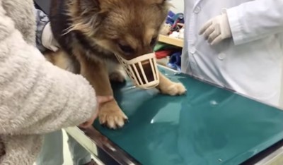 愛情をたっぷり注いでもらいます