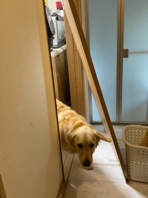 豪快すぎる突破劇