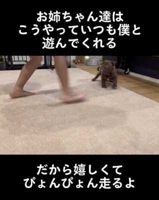 たくさん一緒に遊んだよ