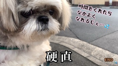 犬見知りなところも愛おしい！