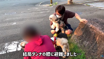 パパさんのお膝に避難