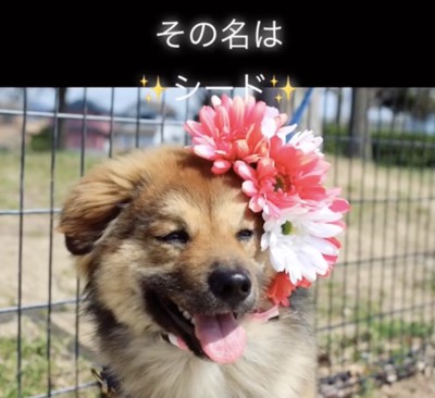 ずっと幸せでいようね
