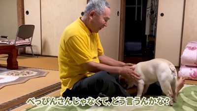 帽子姿を褒めながらナデナデ…