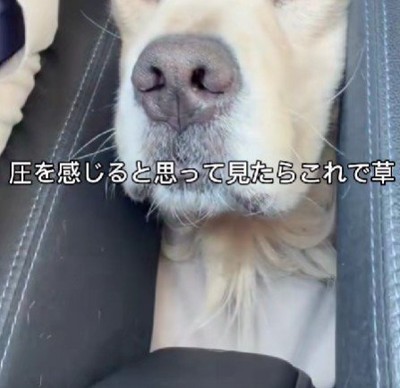 背後から圧を感じて…