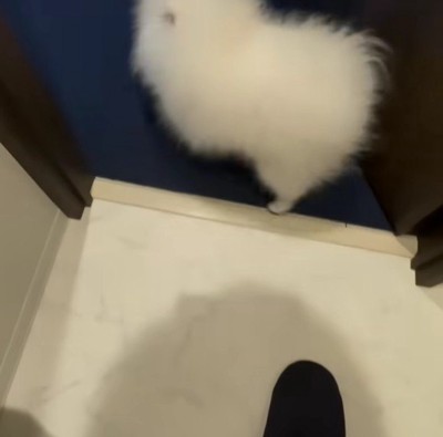 逃げちゃった！？