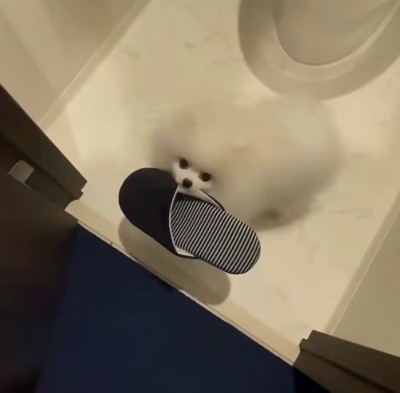 「まだ遊ぼう！」