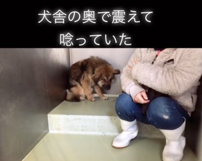 ずっと震えていたシードくん