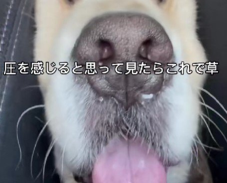 重力に負け始め…