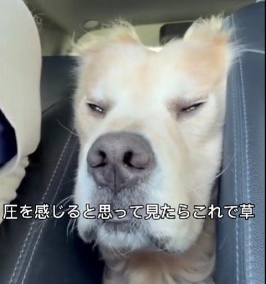 翔さんがハマってる！！