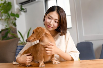 犬を撫でる女性