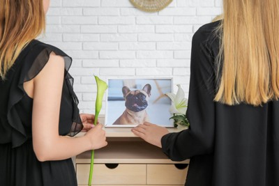 犬の遺影を見る女性