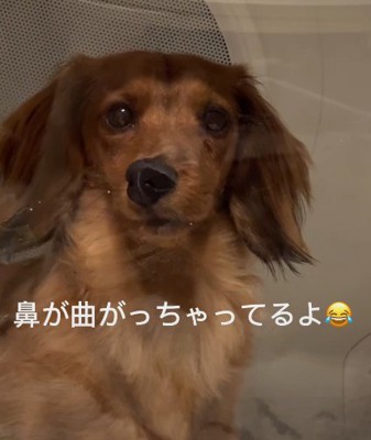 鼻が曲がっちゃった！？