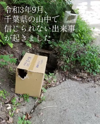 ダンボール箱に閉じ込められて…