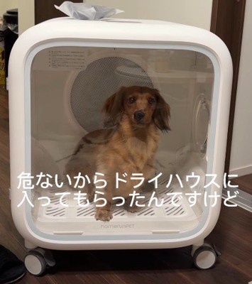 「ぼくも食べたい…！」