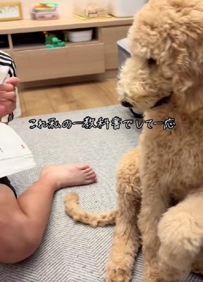 そっと前足を差し出すこなんちゃん