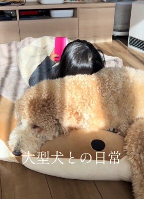 気持ちいい枕代わり