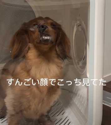 歯がむき出しに…！！