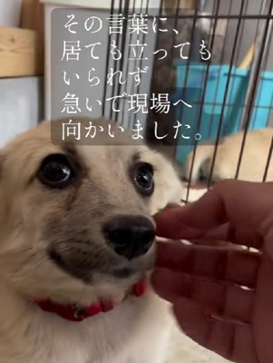 なんとか無事に保護するも…