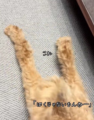犯人確定!!