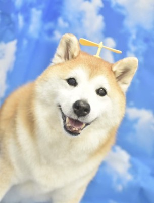 タケコプター