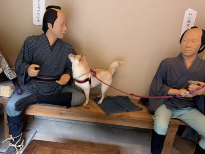 オヤツ